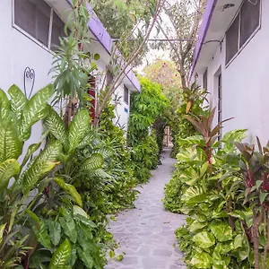 ** Hotel Aventura México